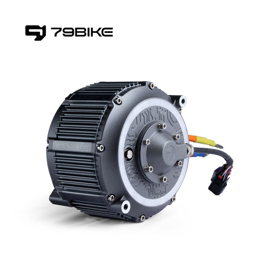 79Bike Falcon Pro Motor